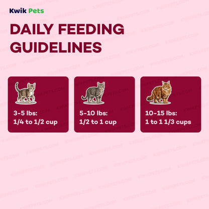 Feeding Guide Lines of AvoDerm Natural Indoor Formula Adult Dry Cat Food 3.5-lb