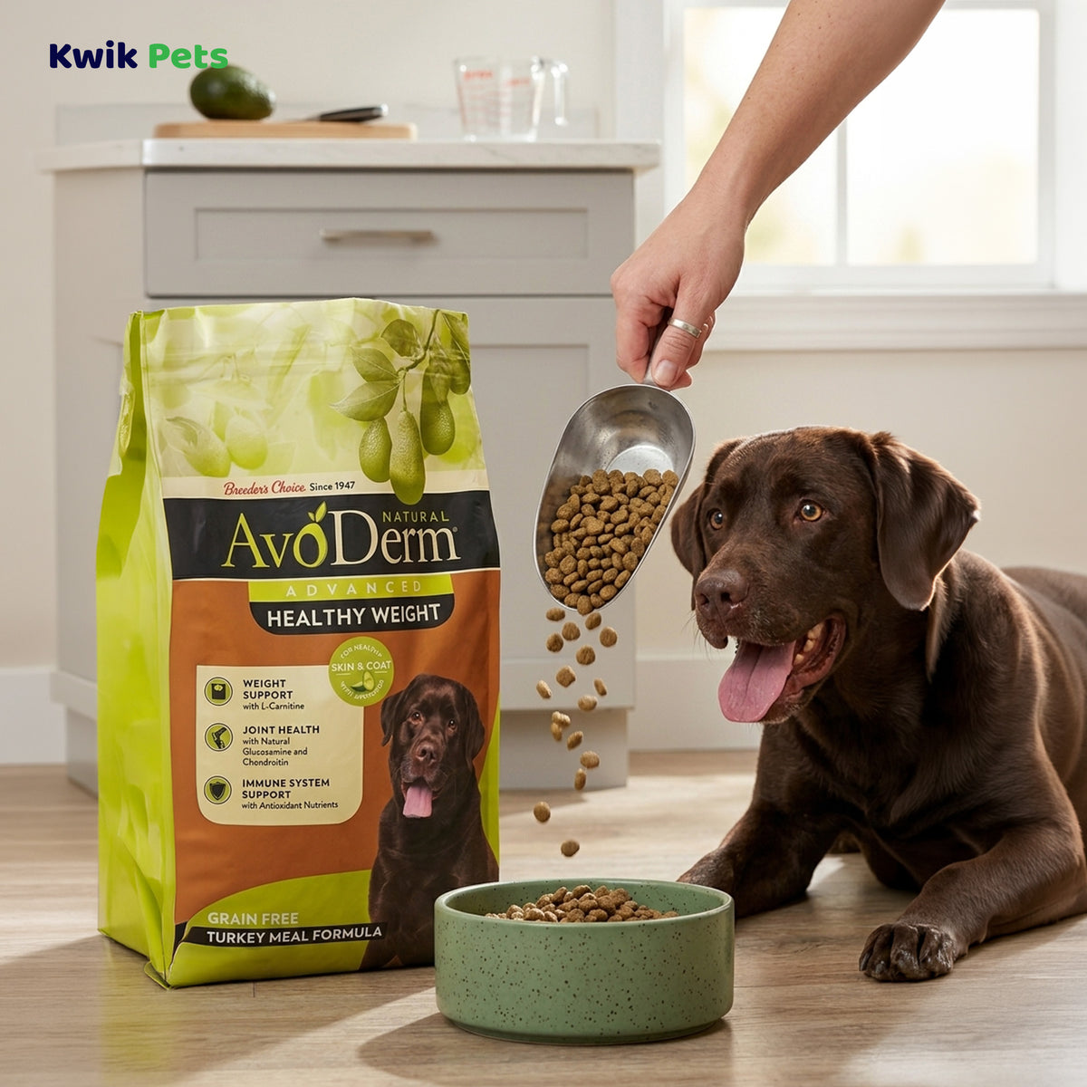 Lifestyle of AvoDerm Natural Advanced Healthy Weight Dry Dog Food 4-lb