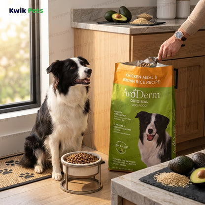 Lifestyle of AvoDerm Natural Original Chicken Meal & Brown Rice Dry Dog Food 30-lb