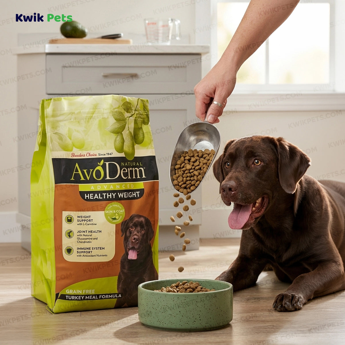 Lifestyle of AvoDerm Natural Advanced Healthy Weight Dry Dog Food 4-lb