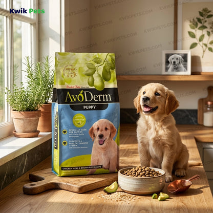 Lifestyle of AvoDerm Natural Chicken Meal & Brown Rice Dry Puppy Food 4.4-lb