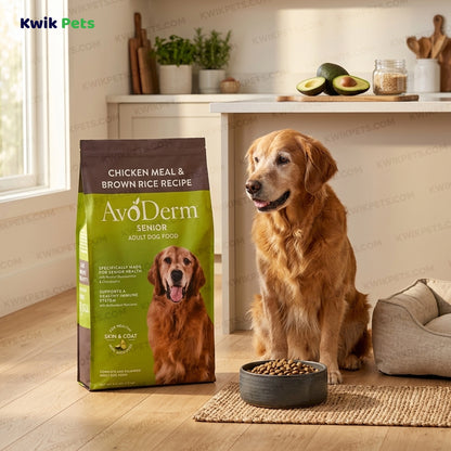 Lifestyle of AvoDerm Natural Chicken Meal & Brown Rice Senior Dry Dog Food 4.4-lb