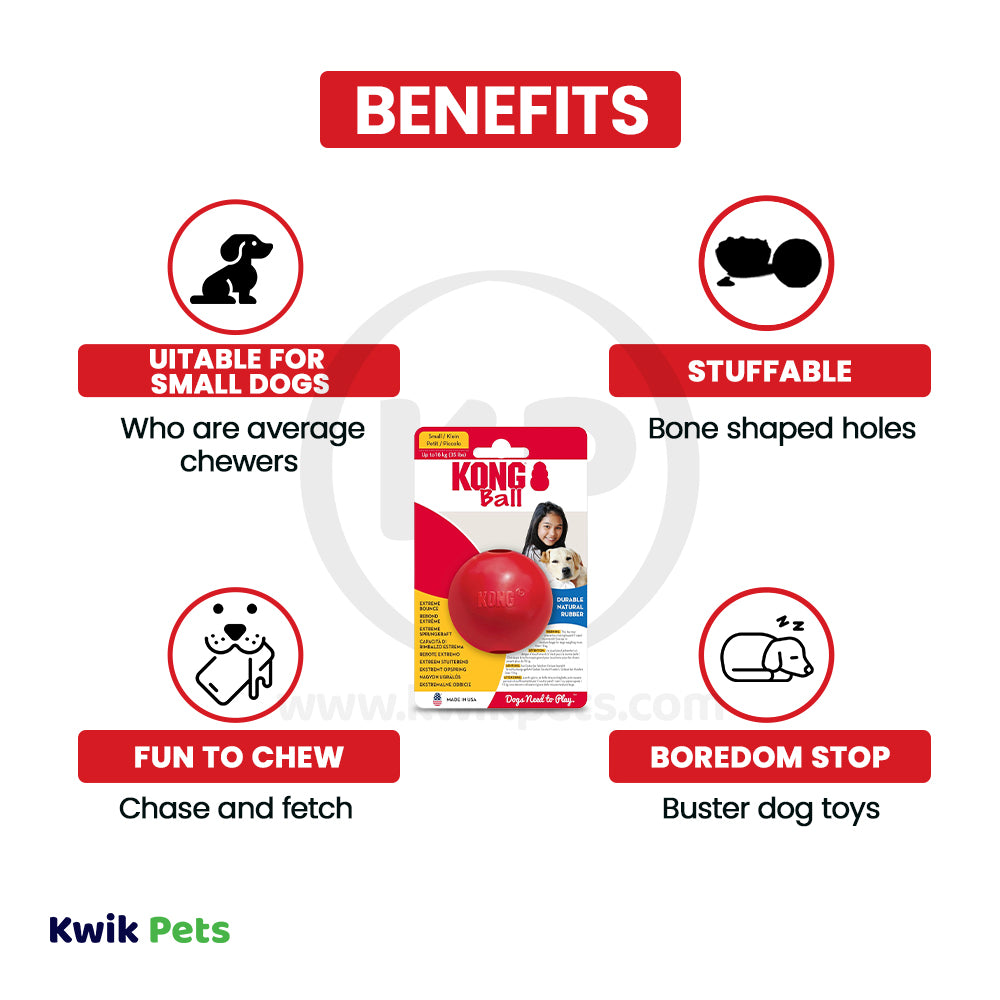 KONG Ball Dog Toy Red Small