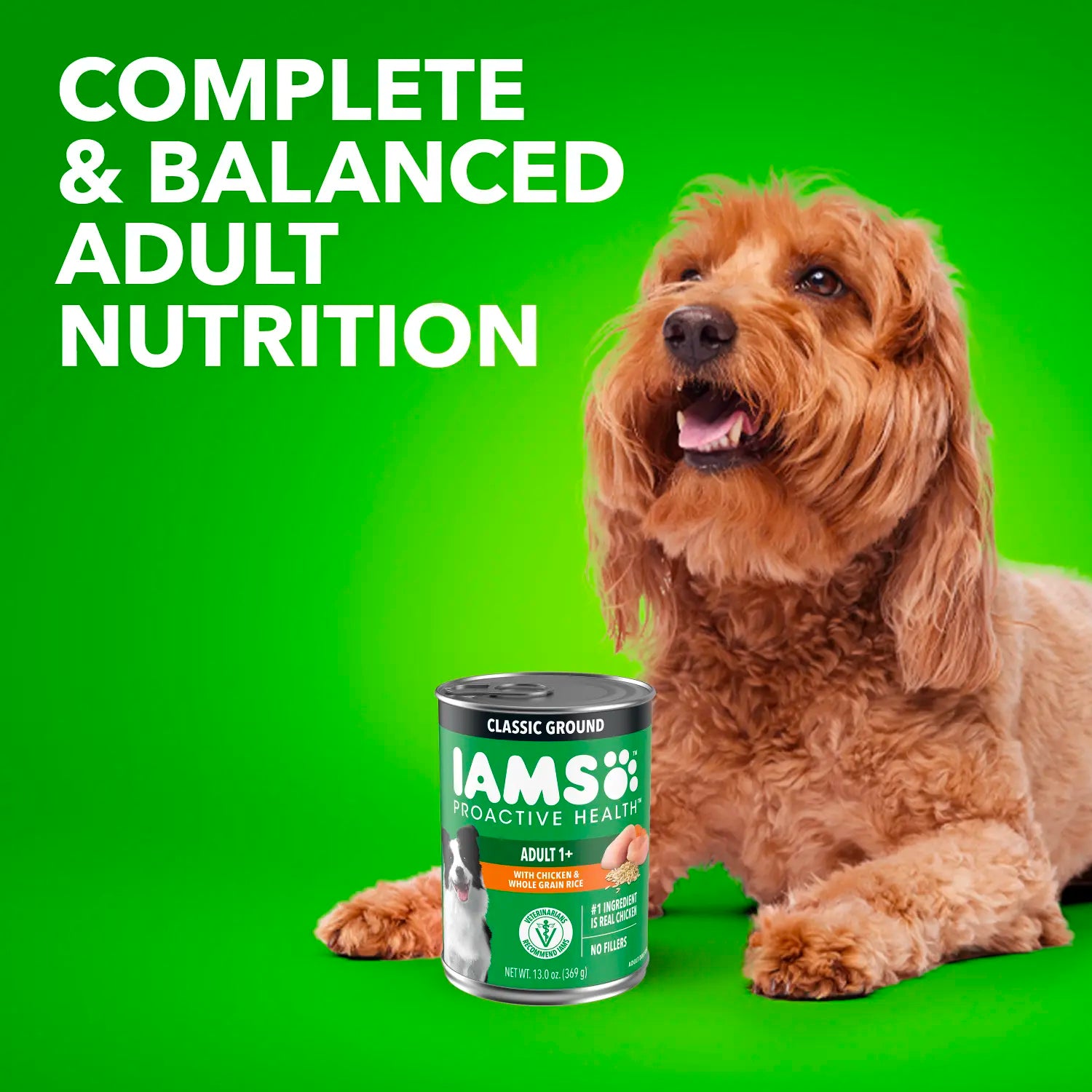 Benefits 2 of IAMS Proactive Health Adult Wet Dog Food Pate with Chicken & Rice 6 Count 13-oz