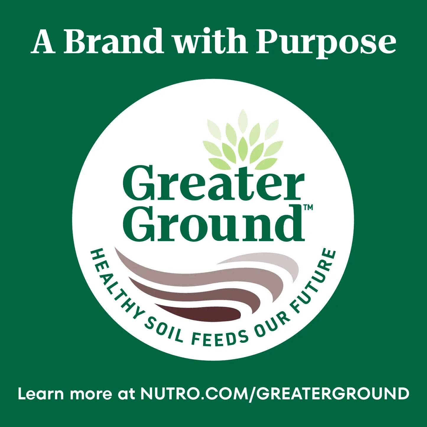 Benefits 3 of Nutro Wholesome Essentials Chicken & Brown Rice Early Development Kitten Dry Cat Food 5-lb