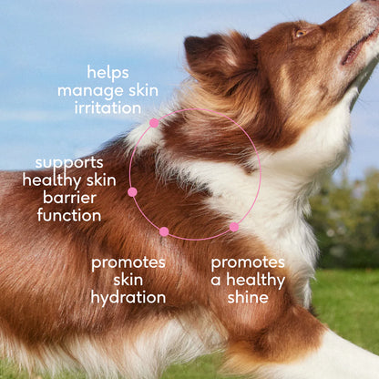 Native Pet Skin & Coat Chews Supplement for Dogs 30 Count, Kwik Pets