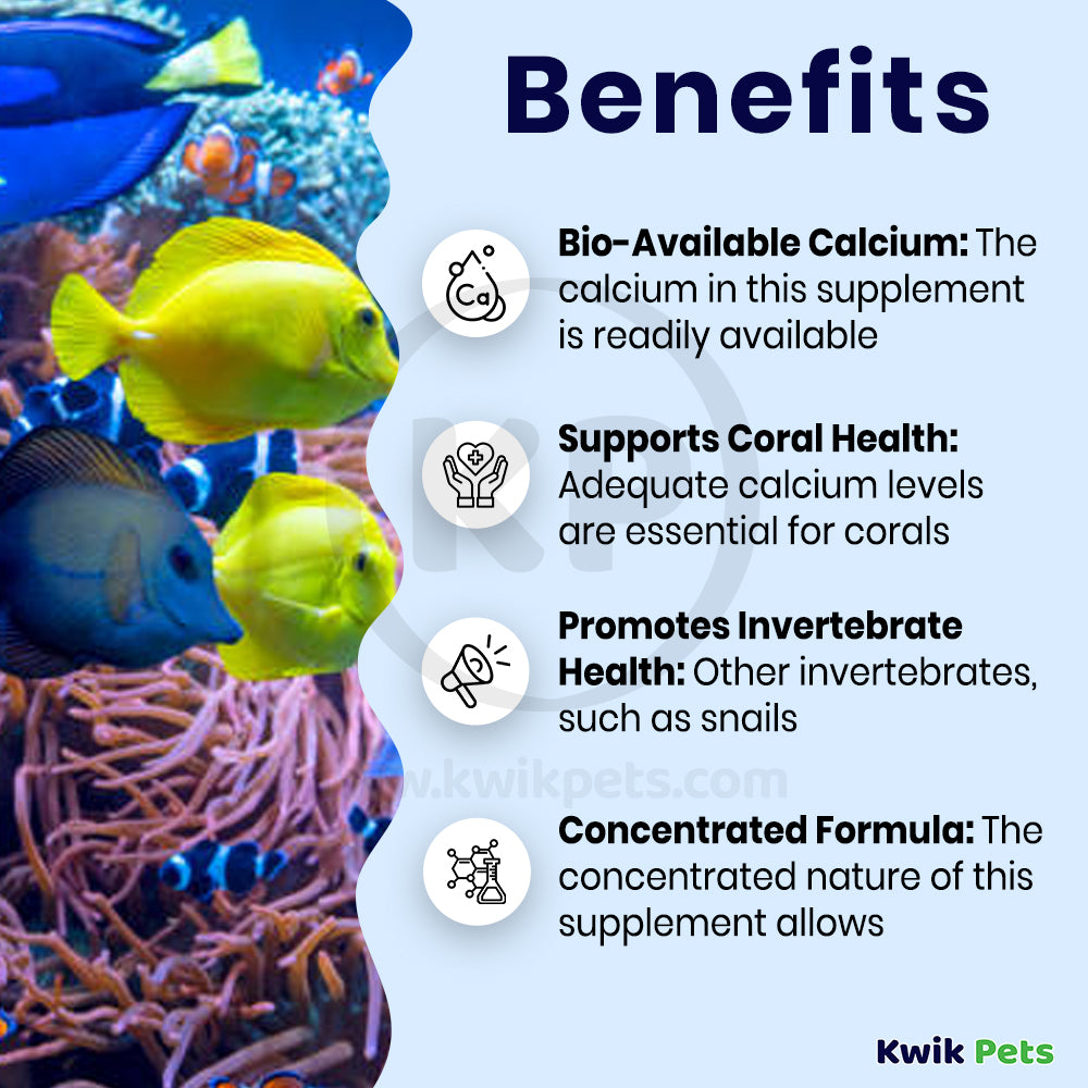 Kent Marine Concentrated Liquid Calcium Supplement 8-oz