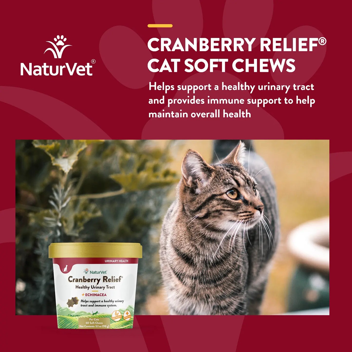 Benefits of NaturVet Cranberry Relief Plus Echinacea Soft Chews for Cats 60 Count 3.1-oz