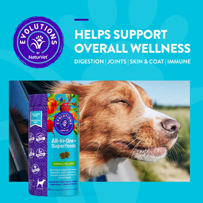 Benefits of Evolutions by NaturVet All-in-One Plus Superfoods Soft Chews for Dogs 90 Count 7.9-oz