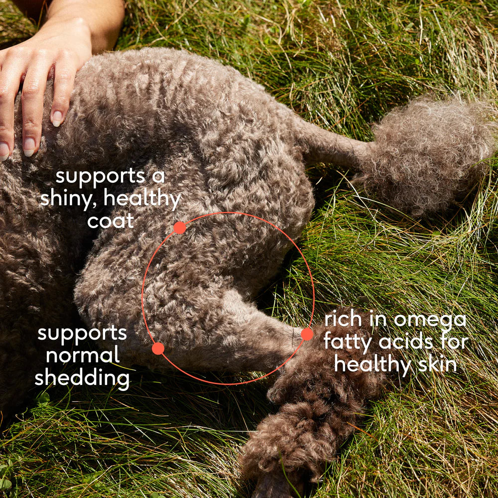 Native Pet Omega-3 Fish Oil & Alaskan Salmon Oil Skin & Coat Health Supplement for Dogs 8-oz, Kwik Pets