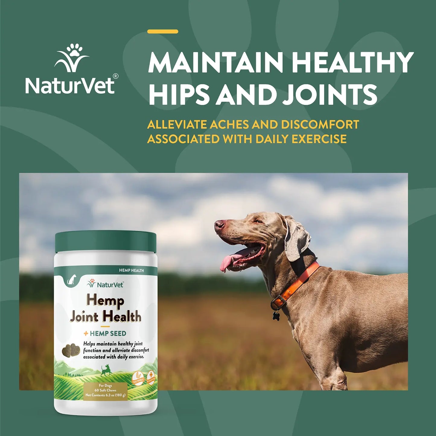 Benefits of NaturVet Hemp Joint Health Soft Chews for Dogs 60 Count 6.3-oz