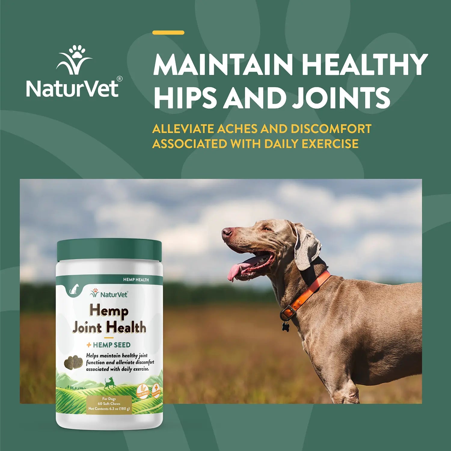 Benefits of NaturVet Hemp Joint Health Soft Chews for Dogs 60 Count 6.3-oz