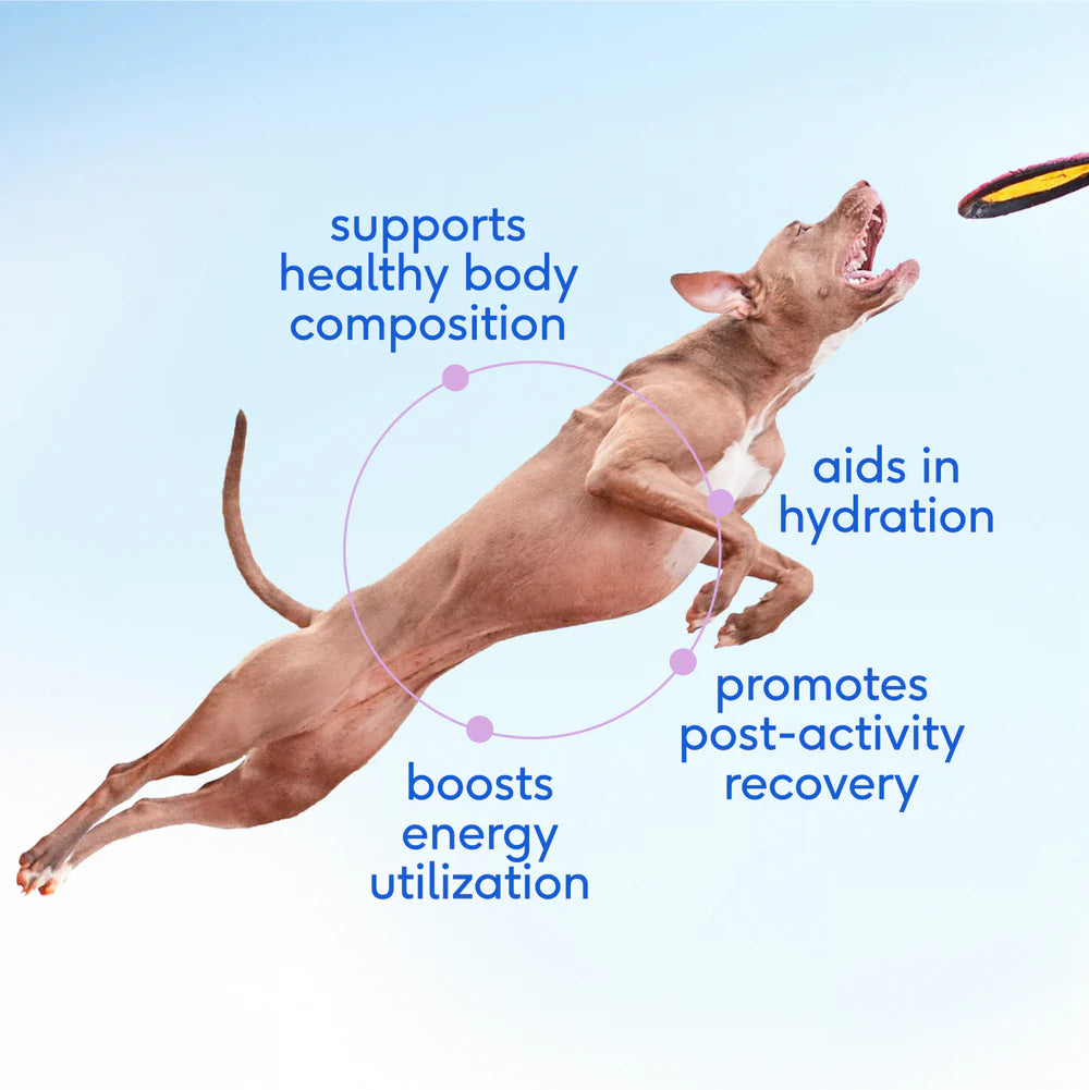 Native Pet Goat Milk Powder Recovery & Energy Support for Active Dogs 7-oz, Kwik Pets