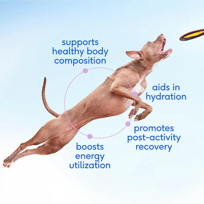 Native Pet Goat Milk Powder Recovery & Energy Support for Active Dogs 7-oz, Kwik Pets