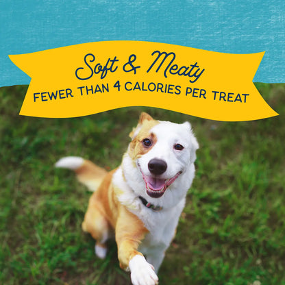 Benefits of Natural Balance Pet Foods Rewards Minis Soft & Meaty Dog Treats Turkey 5.3-oz