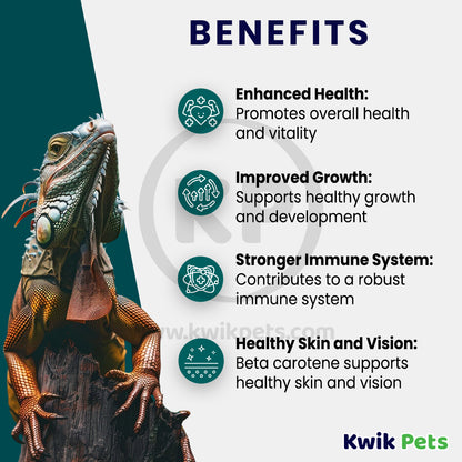 Benefits of Rep-Cal Research Labs Herptivite with Beta Carotene Multivitamins Reptile Supplement 3.3-oz