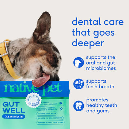 Native Pet Gutwell Clean Breath Dog Dental Care Supplement 12.7-oz, Kwik Pets