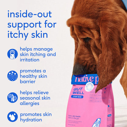 Native Pet GutWell Itchy Skin Relief Supplement for Dogs 12.7-oz, Kwik Pets