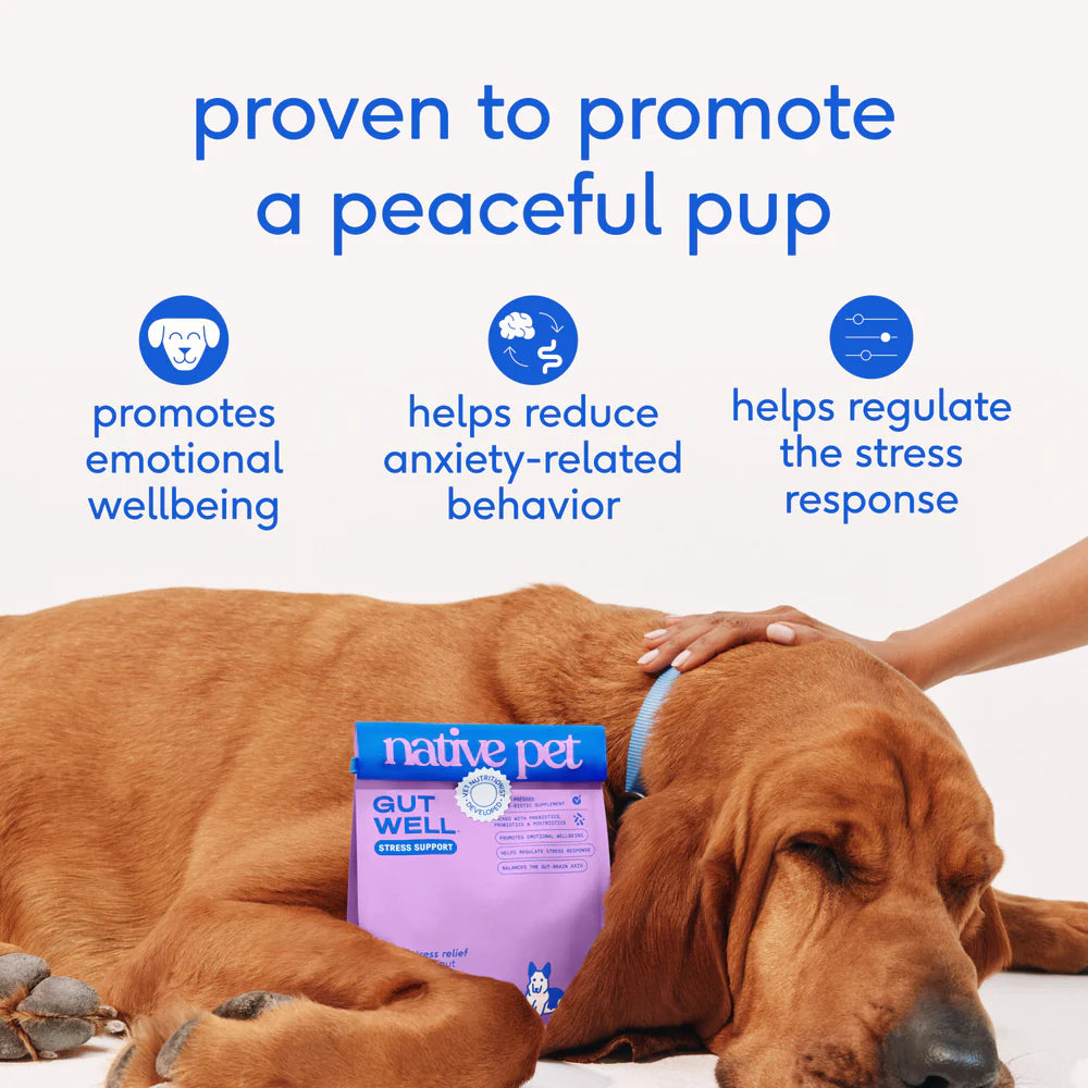 Native Pet GutWell Stress Support Anxiety Relief & Calming Supplement for Dogs 12.7-oz, Kwik Pets