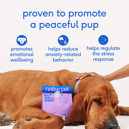 Native Pet GutWell Stress Support Anxiety Relief & Calming Supplement for Dogs 12.7-oz, Kwik Pets