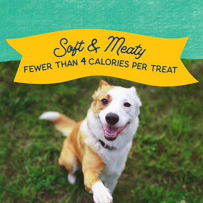 Benefits of Natural Balance Pet Foods Rewards Minis Soft & Meaty Dog Treats Chicken 5.3-oz