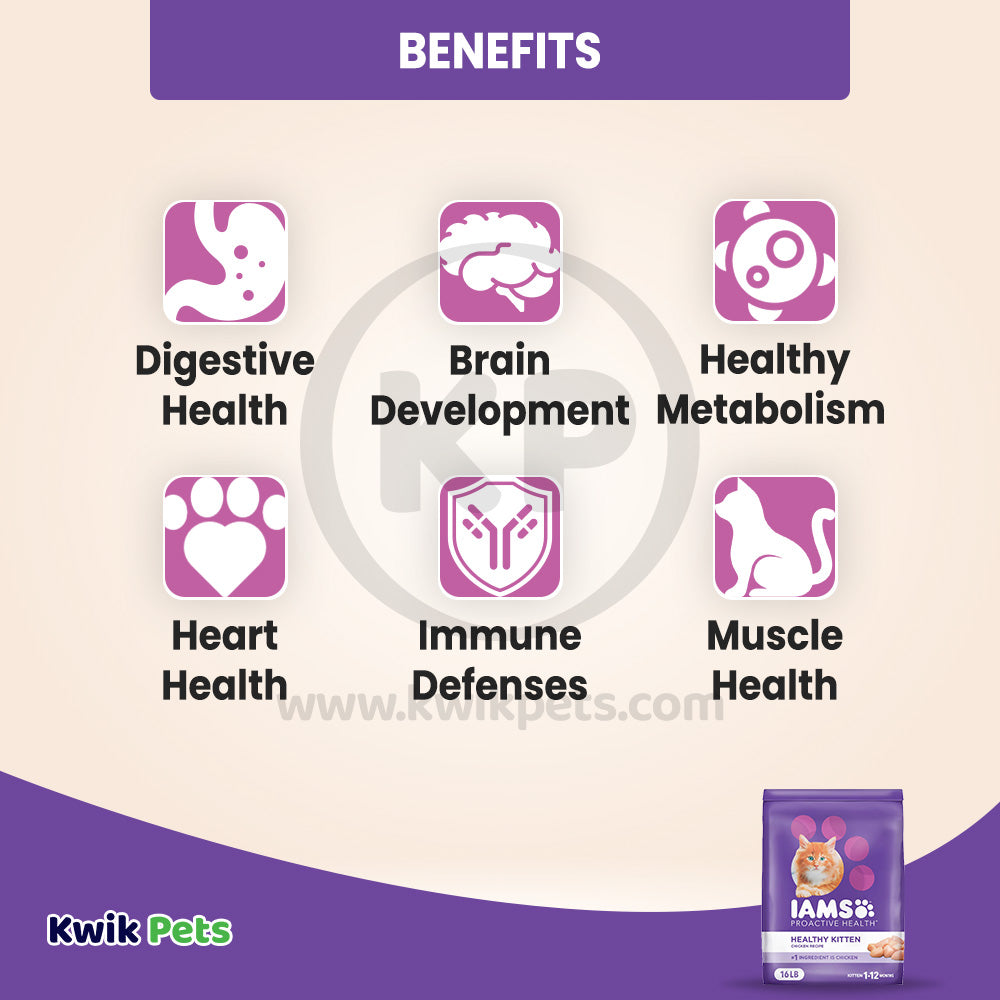 Benefits of IAMS Proactive Health Kitten Dry Cat Food Chicken 16-lb