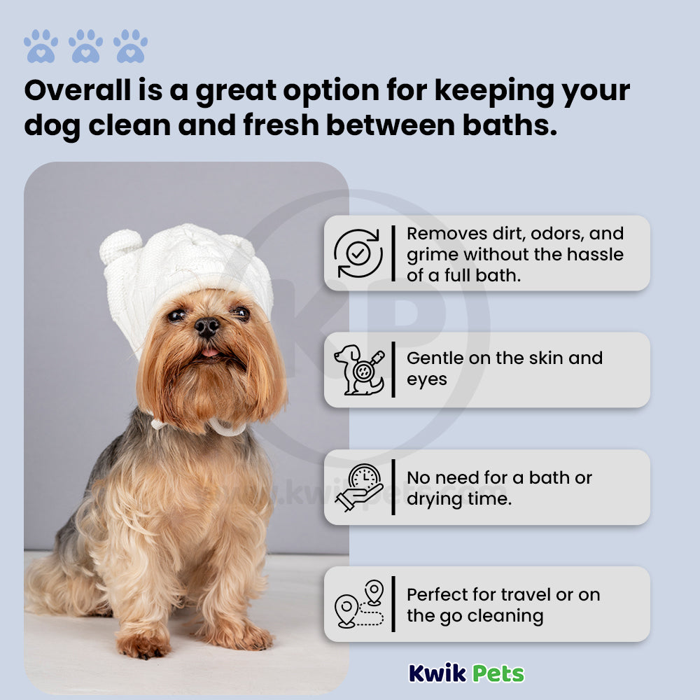 Bio-Groom Waterless Bath No Rinse Dog Shampoo 16-oz, Kwik Pets