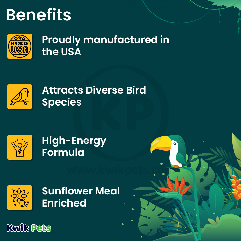 Benefits of C&S Sunflower Suet Nuggets for Wild Birds 27-oz