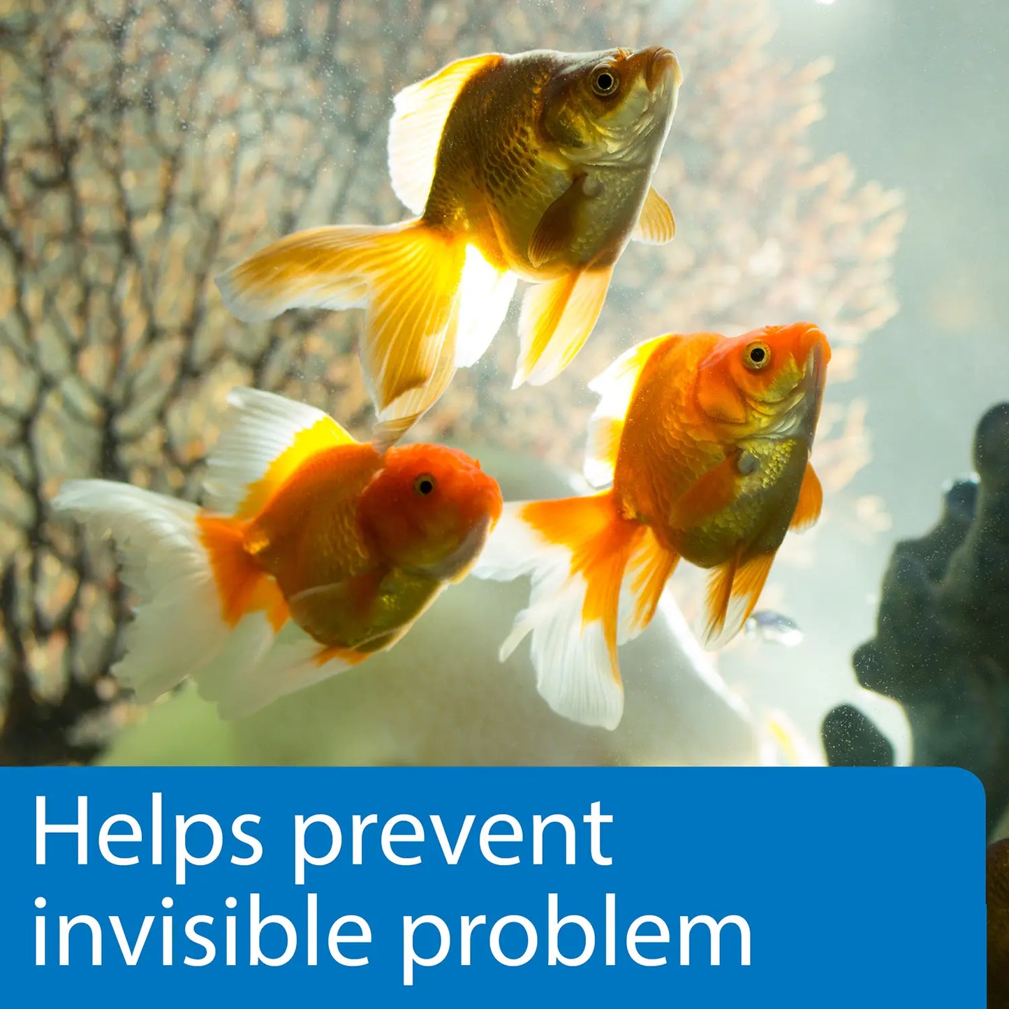 Benefits of API 5-in-1 Freshwater Aquarium Test Strip 25 Count