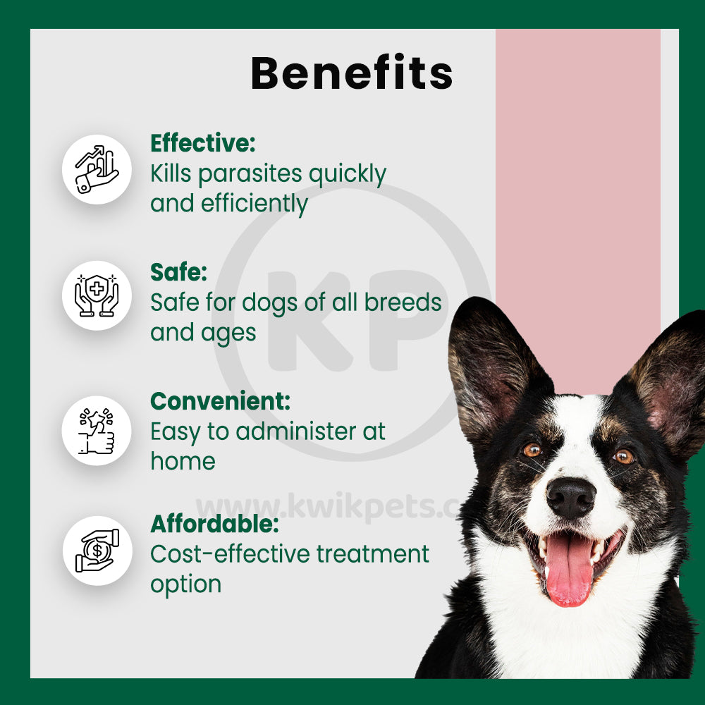 Benefits of Safe Guard Canine Dewormer for Dogs, 4gm pouch
