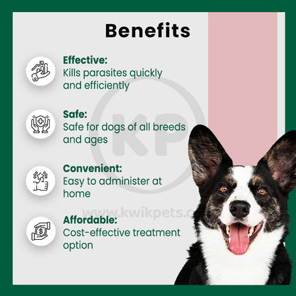 Benefits of Safe Guard Canine Dewormer for Dogs, 4gm pouch