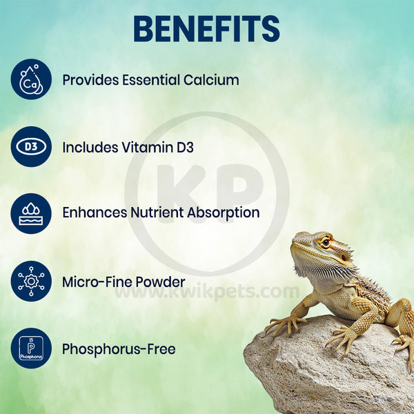 Benefits of Miner-All Calcium/Mineral Supplement for Indoor Incestivorous Reptiles & Amphibians 6-oz