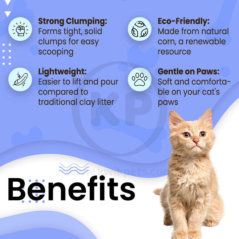 Benefits of Boxiecat Glo Natural Attractions Clumping Corn Cat Litter 6.5-lb