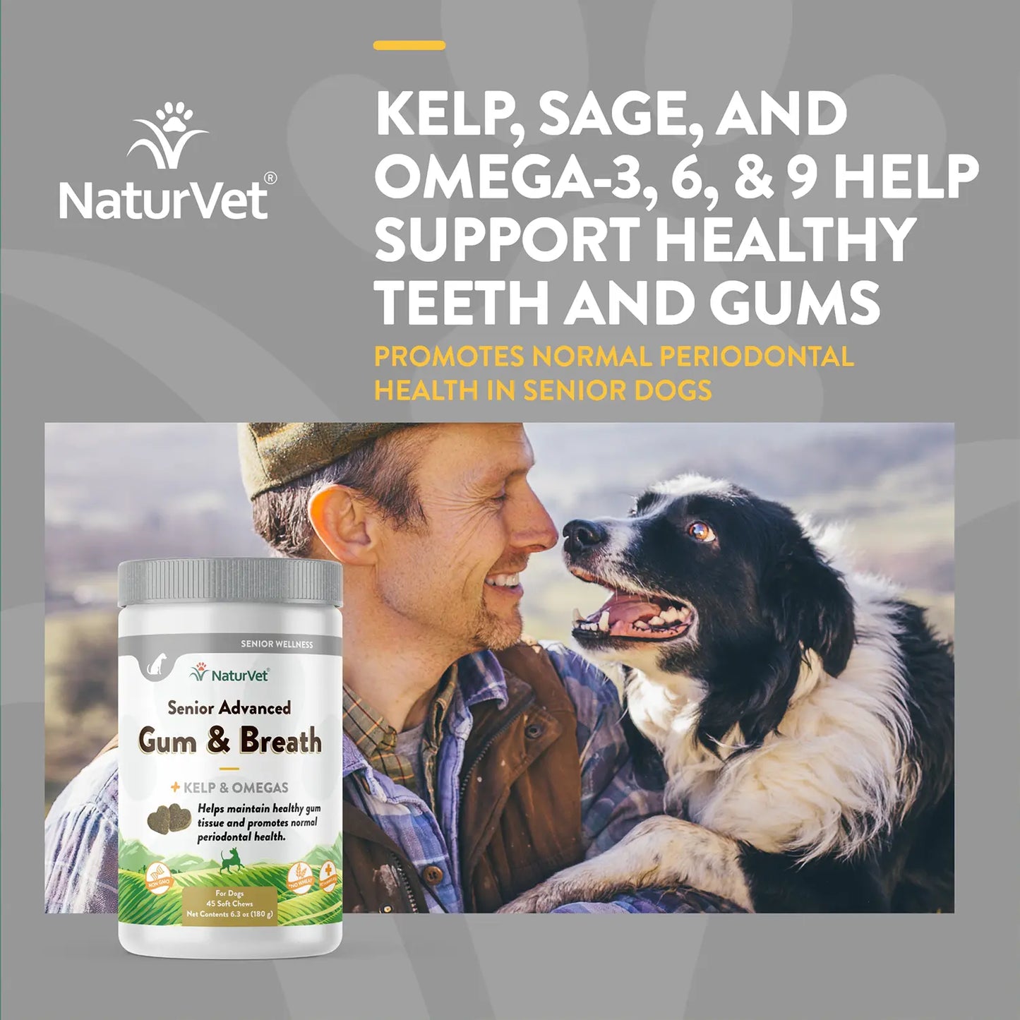 Benefits of NaturVet Senior Advanced Gum & Breath Dog Soft Chews 45 Count 6.3-oz