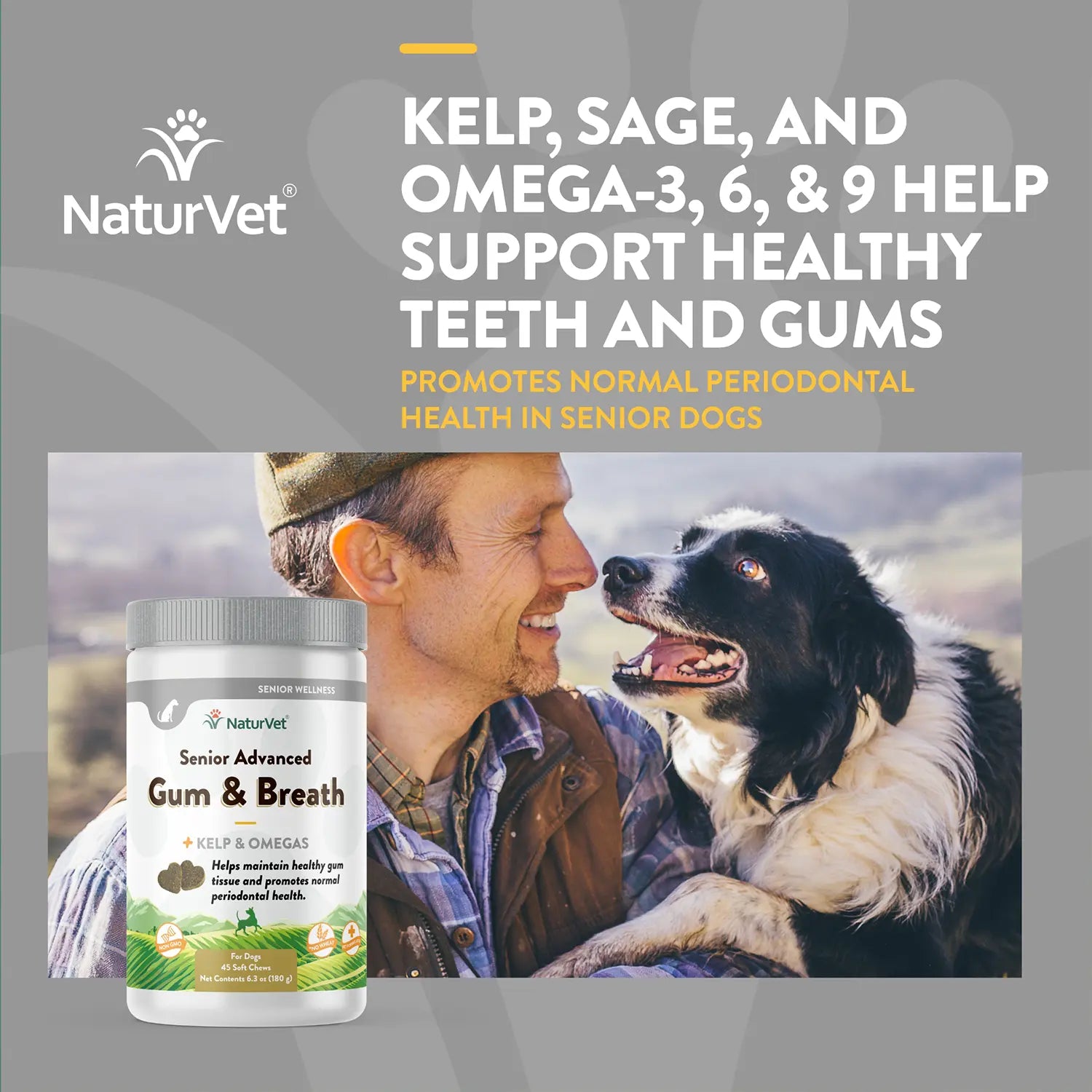Benefits of NaturVet Senior Advanced Gum & Breath Dog Soft Chews 45 Count 6.3-oz