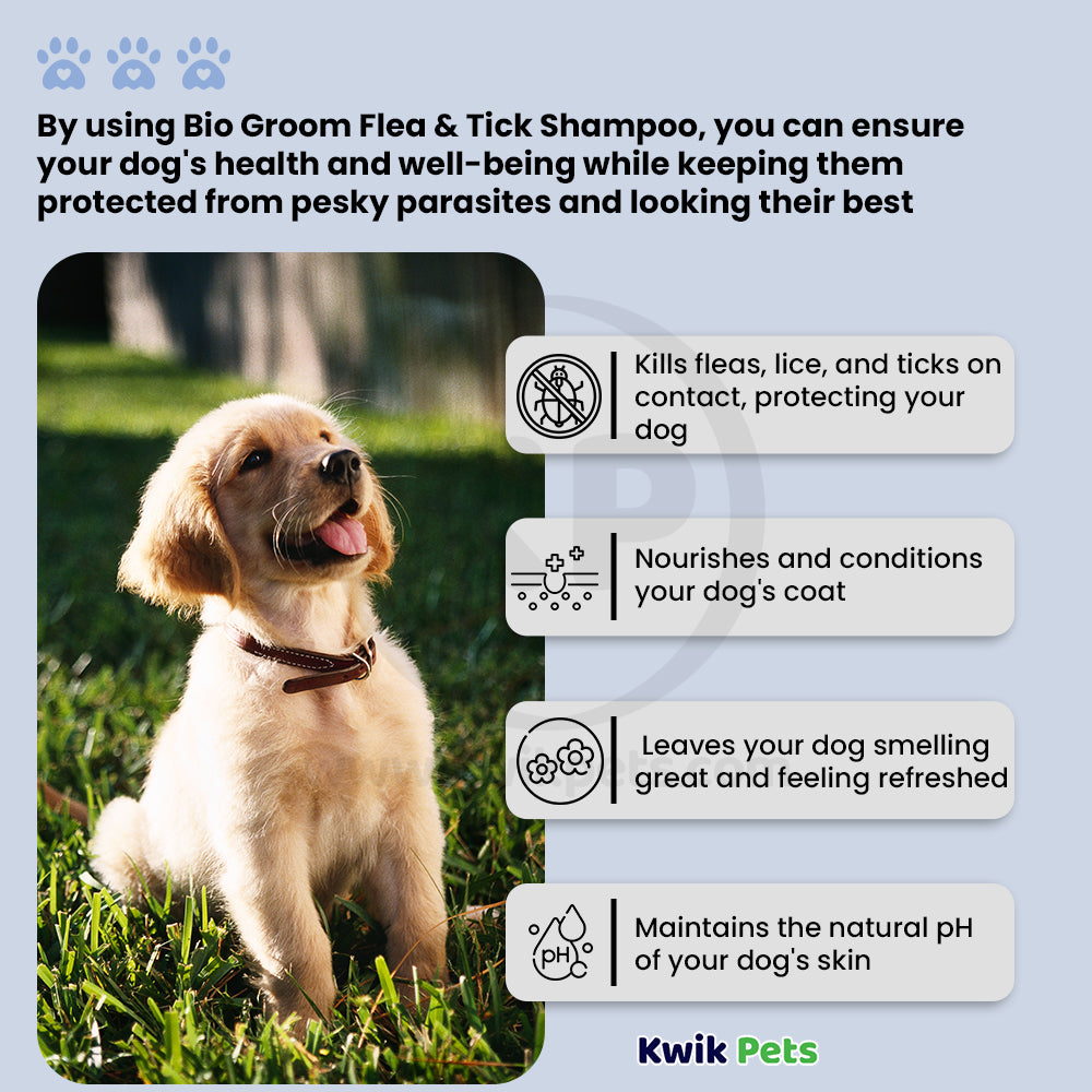 Bio-Groom Flea & Tick Dog Shampoo 12-oz, Kwik Pets