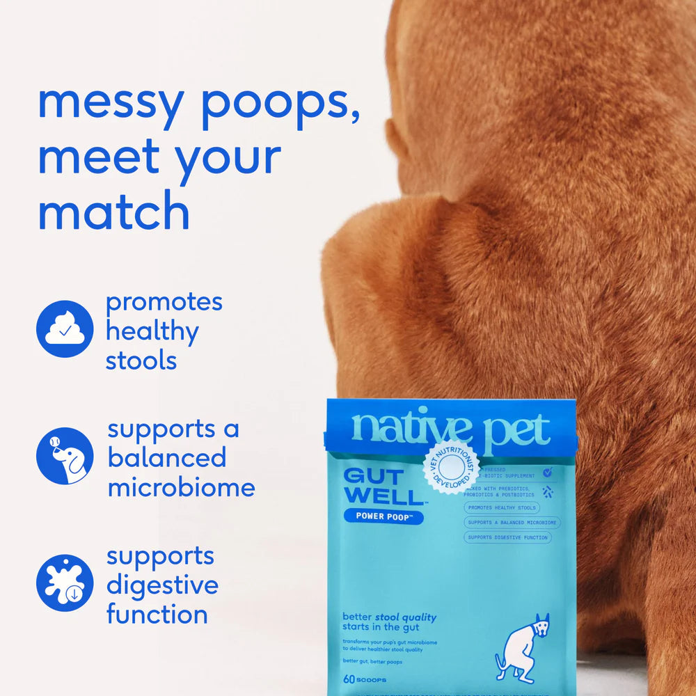 Native Pet Gutwell Power Poop Digestion Support Supplement for Dogs 12.7-oz, Kwik Pets