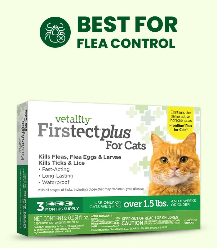Flea Treatment For Cats