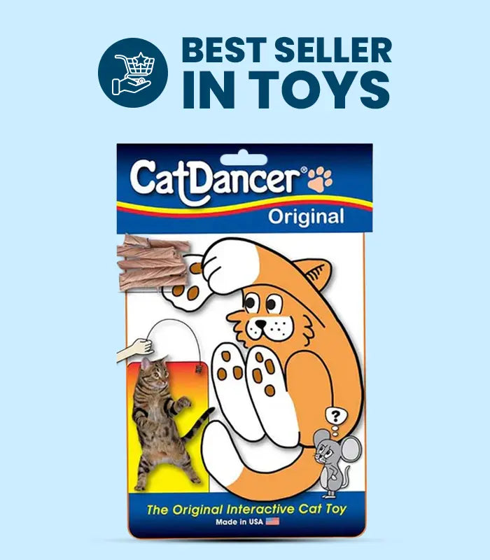 Cat Supplies