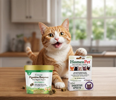 Digestive Supplement