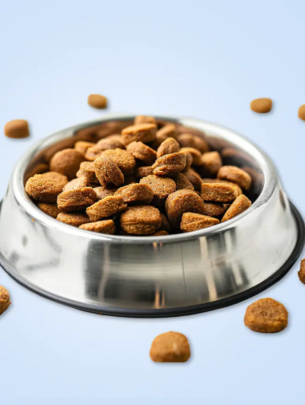 Cat Treats & Chews