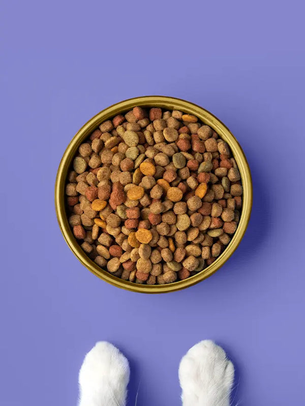 Cat Treats & Chews