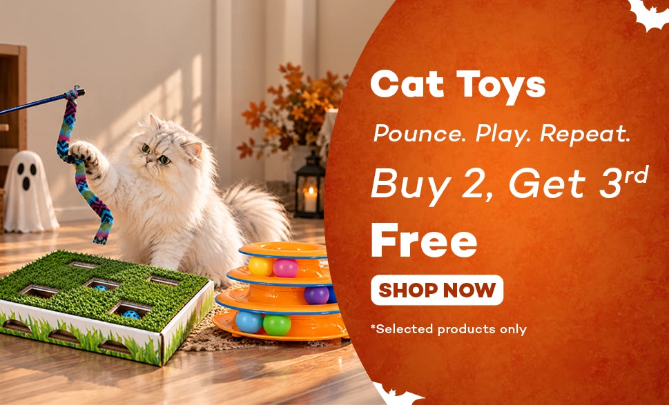 Cat toys buy 2 get 1 Free*