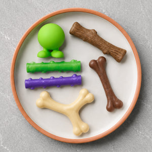 Chew Toys