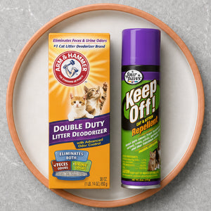 Clean Up & Odor