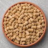 Cockatoo Food