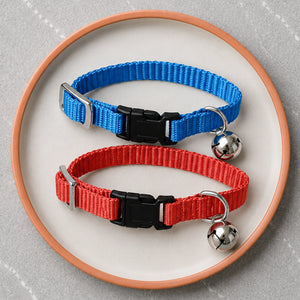 Collars, Harnesses & Leashes