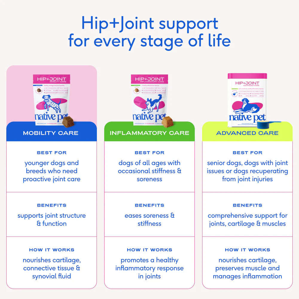 Native Pet Hip & Joint Mobility Care Chews for Dogs 60 Count, Kwik Pets