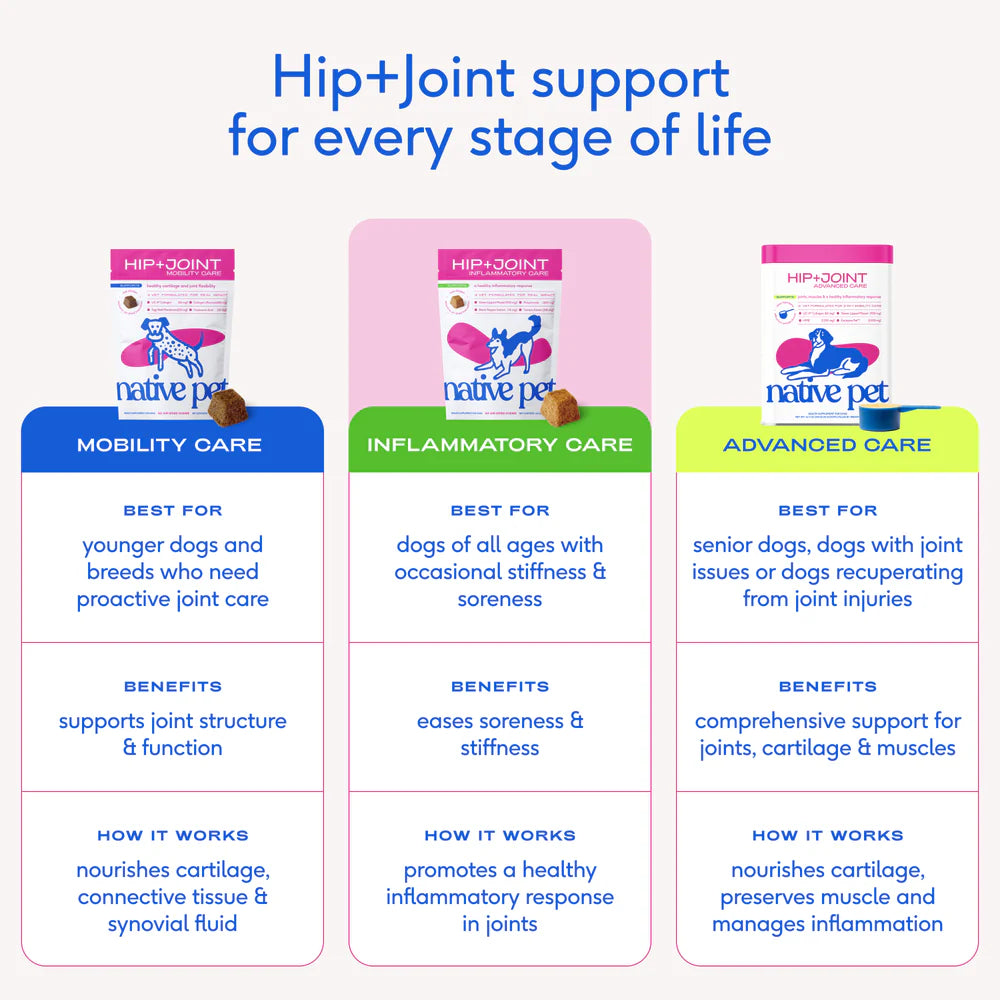 Native Pet Hip & Joint Inflammatory Care Chews Supplement for Dogs 30 Count, Kwik Pets