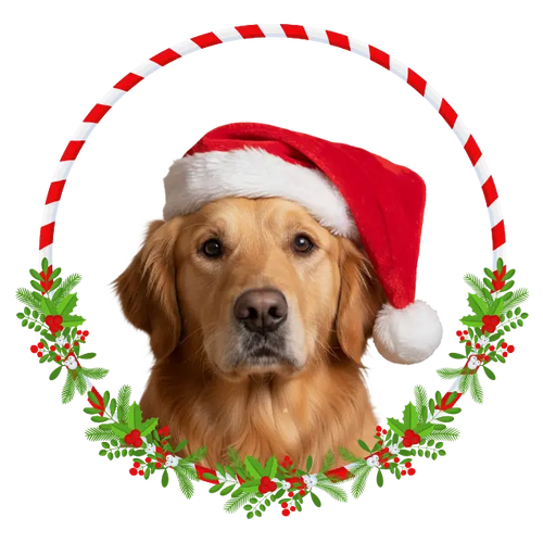Christmas Toys